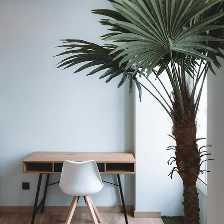 公寓 Batalha Charming Loft *